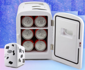 Buy a Portable Mini Cooler & Fridge Today!